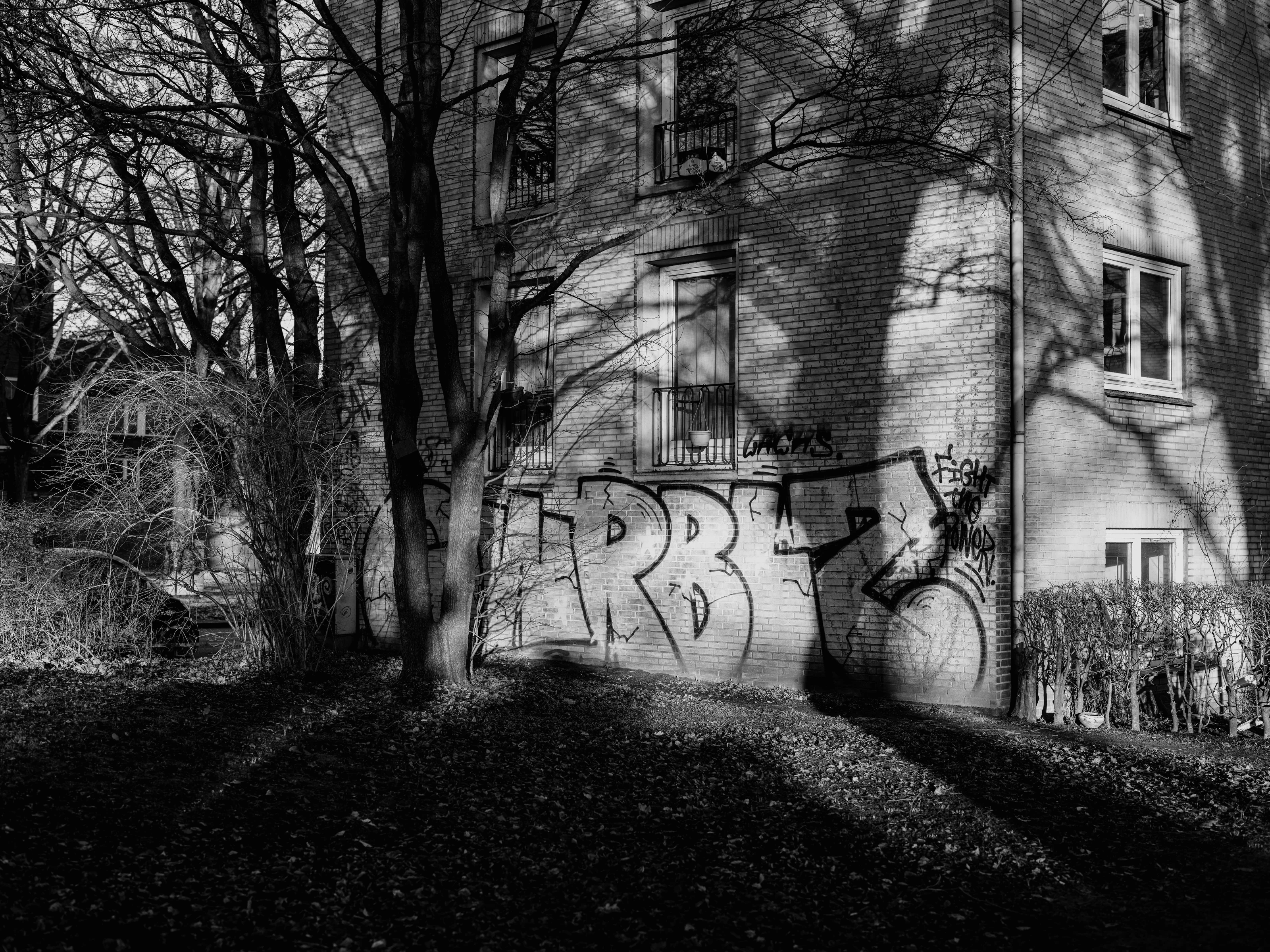 Graffiti on a brick building with tree shadows in a black and white photograph.