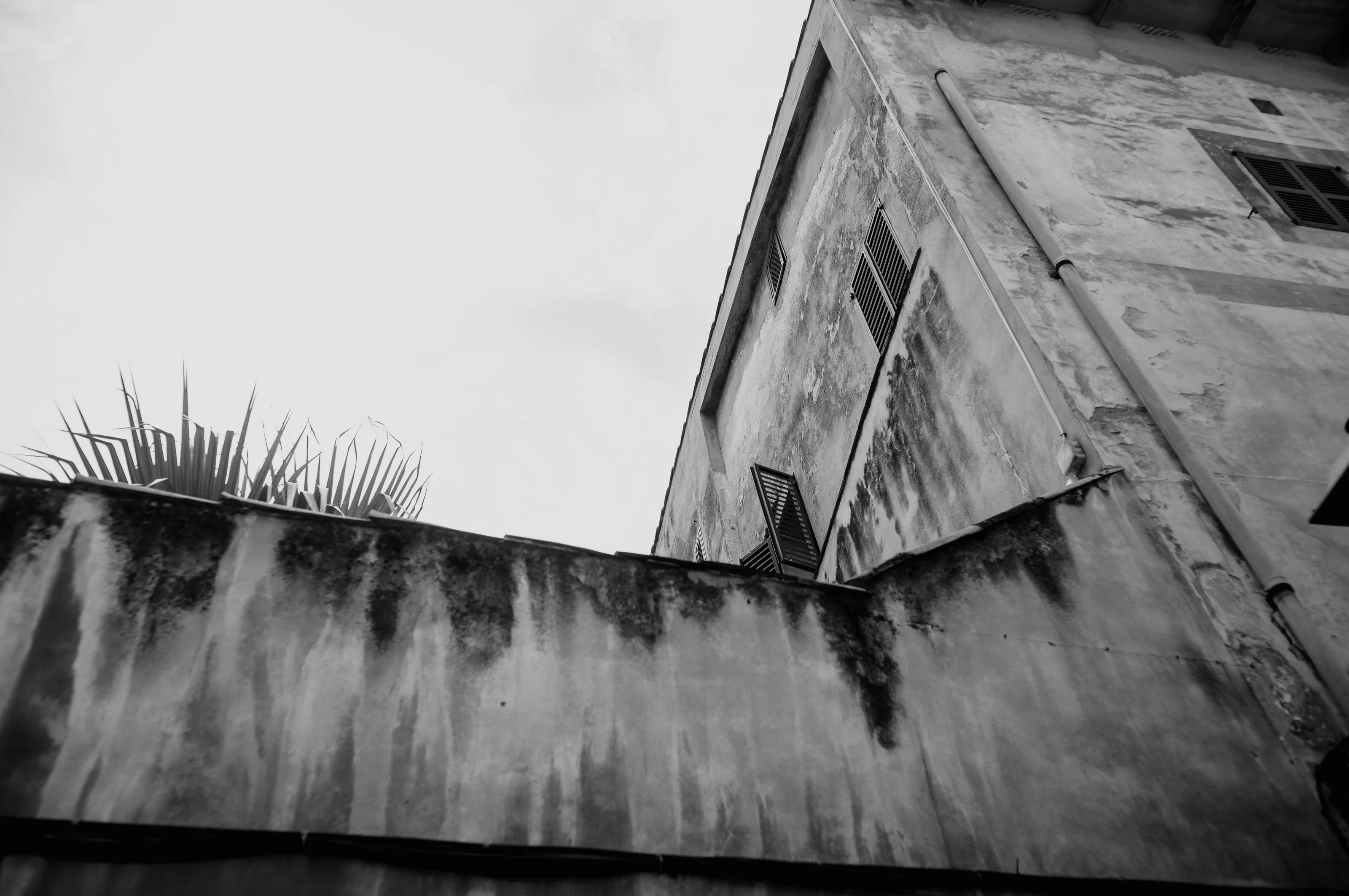A black and white photo of a weathered building with shuttered windows and a rooftop with palm leaves.