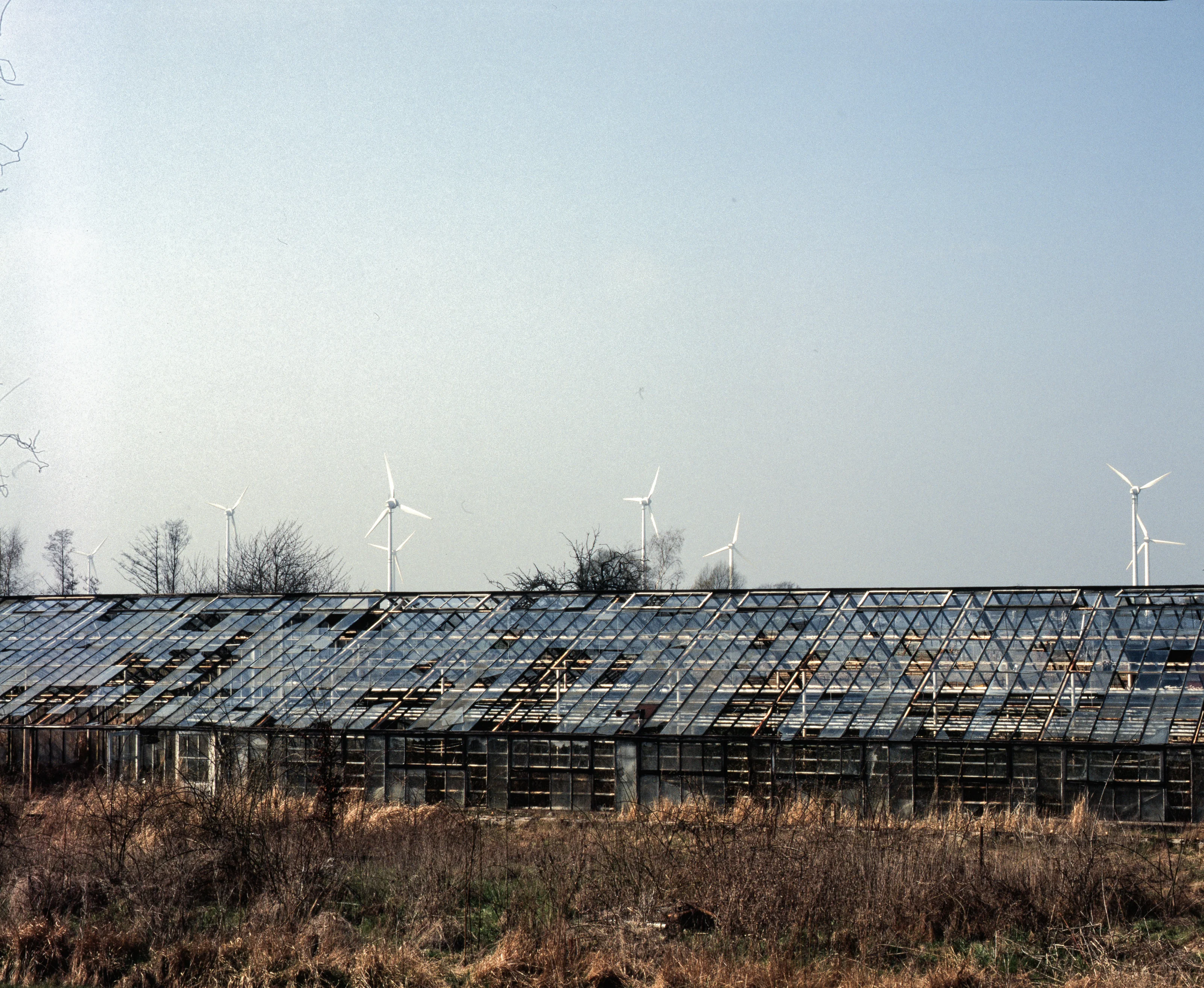 A dilapidated greenhouse with wind turbines in the background under a clear sky.