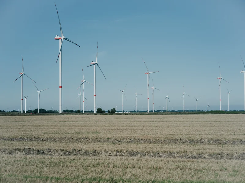 A field of wind turbines under a clear blue sky.