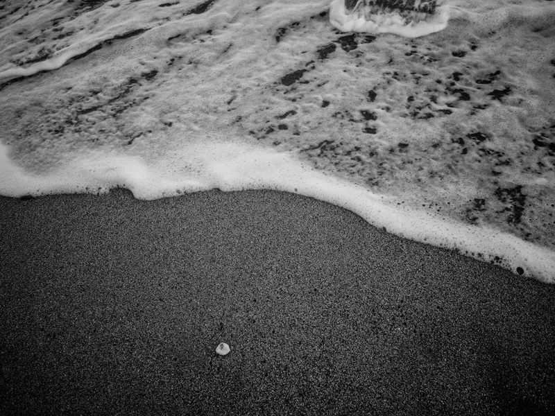 Foamy waves reaching a sandy beach with a small shell visible on the sand.