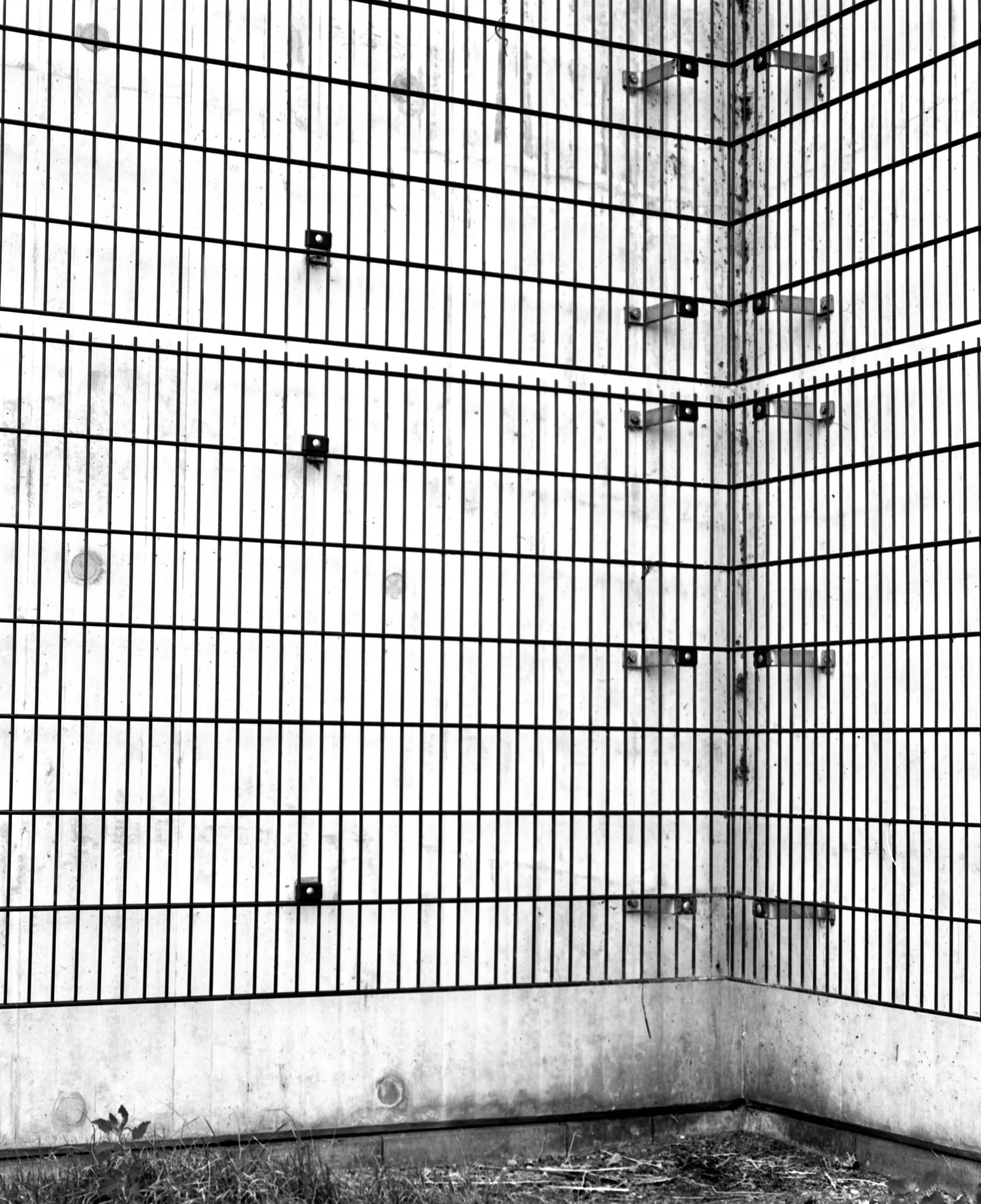 A corner of a concrete wall with vertical black metal bars and some grass at the base.