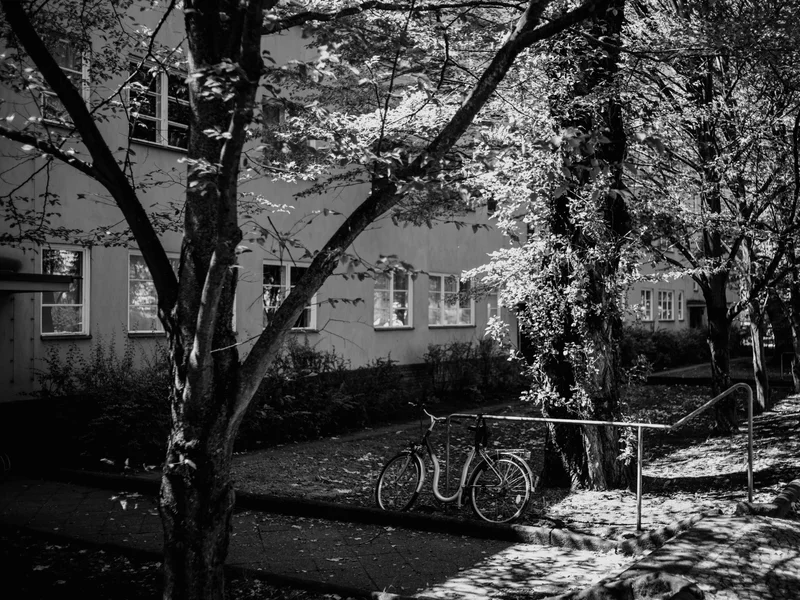A black and white photo of a bicycle parked under trees along a residential street.