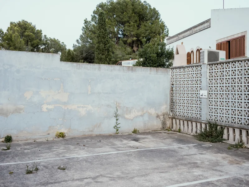 Empty parking space with a faded blue wall and vegetation.