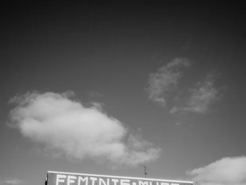 A building with graffiti reading 'FEMINISMUSS' on the top, under a cloudy sky.