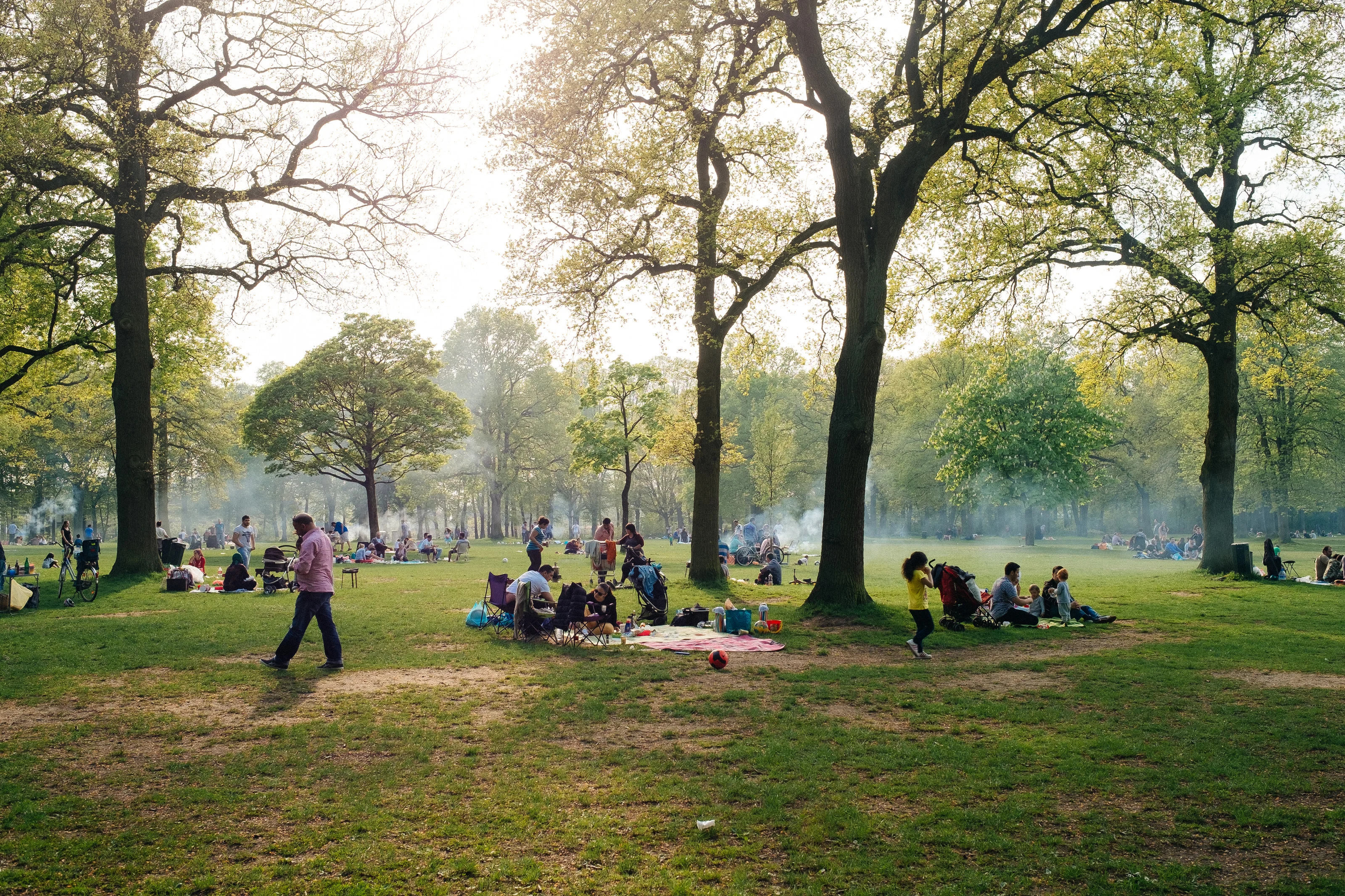People having a picnic in a park under tall trees on a sunny day.
