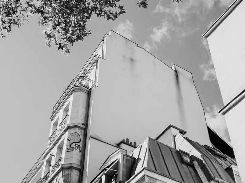 A black and white view of a Parisian building with balconies and decorative details under a partly cloudy sky and tree branches.